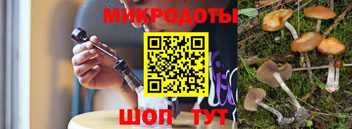 Галлюциногенные грибы Psilocybe  Галлюциногенные грибы Psilocybe  Вход с VPN  Каменск-Шахтинский 